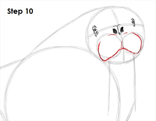 Draw Walrus 10