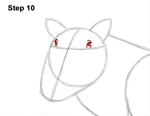 How to Draw a Common Warthog Pig 10