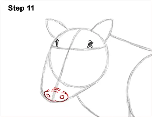 How to Draw a Common Warthog Pig 11
