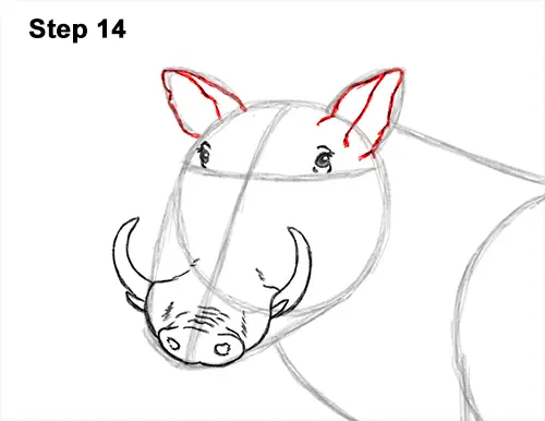 How to Draw a Common Warthog Pig 14