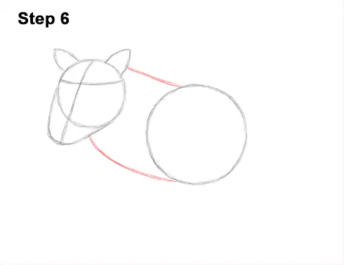 How to Draw a Common Warthog Pig 6