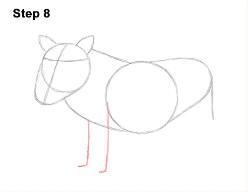 How to Draw a Common Warthog Pig 8