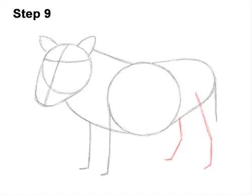 How to Draw a Common Warthog Pig 9