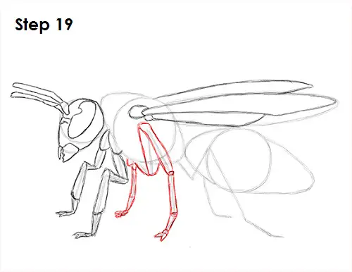 Draw Wasp 19