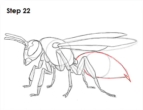 Draw Wasp 22