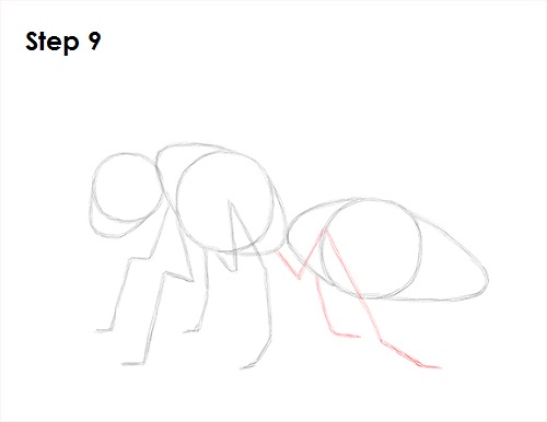 Draw Wasp 9