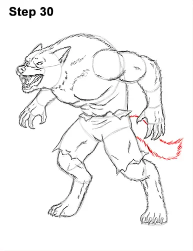 How to Draw Growling Snarling Scary Angry Werewolf 30