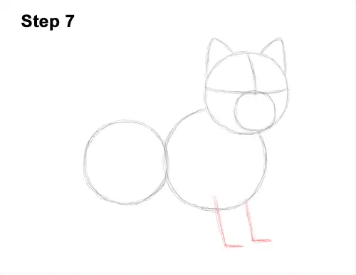 How to Draw a West Highland White Terrier Puppy Dog 7