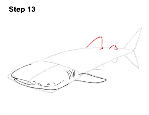How to Draw a Whale Shark 13
