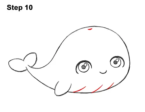 How to Draw Cute Cartoon Blue Whale 10