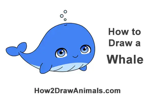 How to Draw Cute Chibi Cartoon Blue Whale