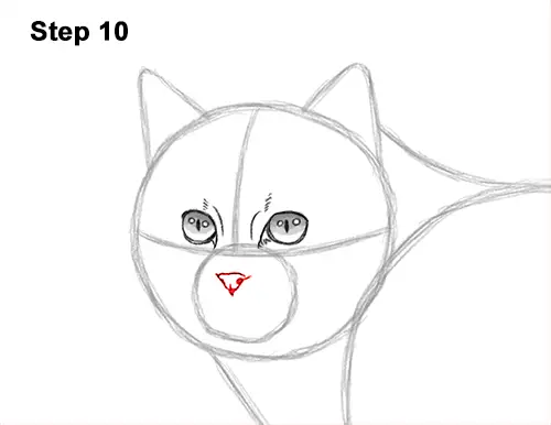 How to Draw a European Wildcat Cat Side View 10