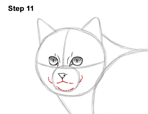 How to Draw a European Wildcat Cat Side View 11