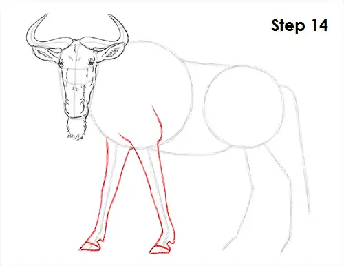 Draw Wildebeest 14