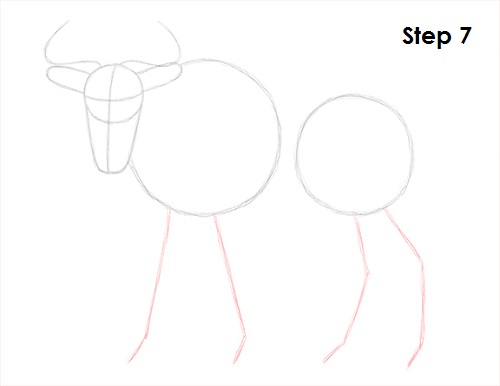 Draw Wildebeest 7