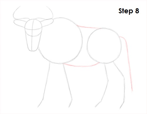 Draw Wildebeest 8