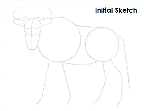 Draw Wildebeest Sketch