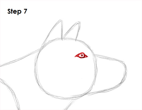 How to Draw a Wolf VIDEO & Step-by-Step Pictures