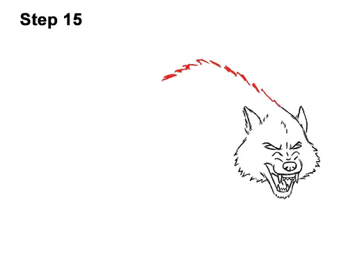 Draw Angry Mean Snarling Cartoon Wolf 15