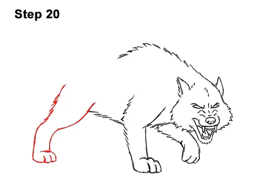 Draw Angry Mean Snarling Cartoon Wolf 20