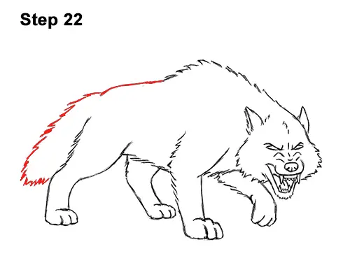 Draw Angry Mean Snarling Cartoon Wolf 22