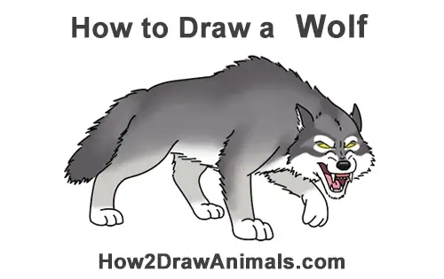 How to Draw a Angry Mean Snarling Cartoon Wolf