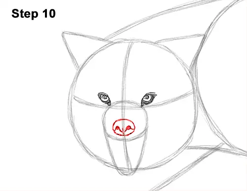Draw Wolf Snarling 10