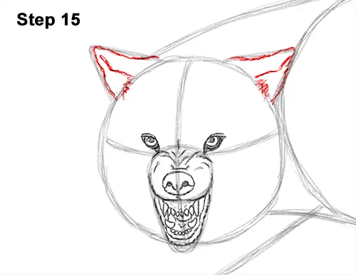 Draw Wolf Snarling 15