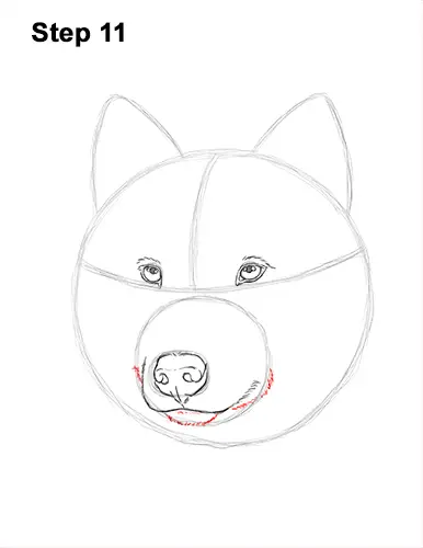 How to Draw Gray Wolf Head Portrait 11