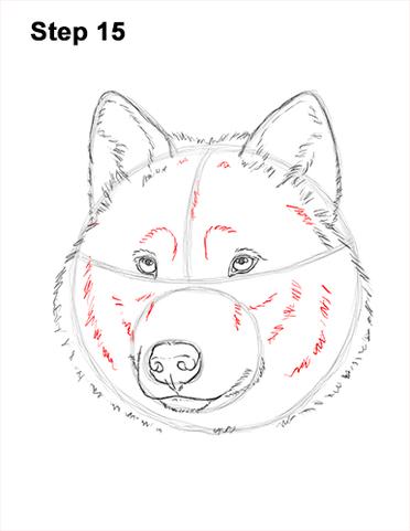 wolf head drawing tutorial