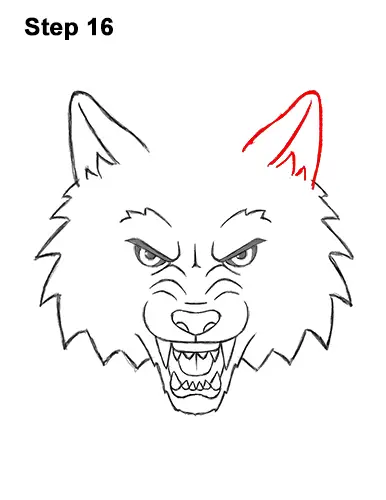 How to Draw Angry Growling Snarling Cartoon Wolf Head 16