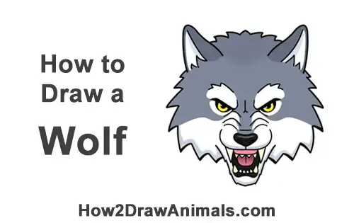 How to Draw a Wolf Head (Cartoon) VIDEO & Step-by-Step Pictures