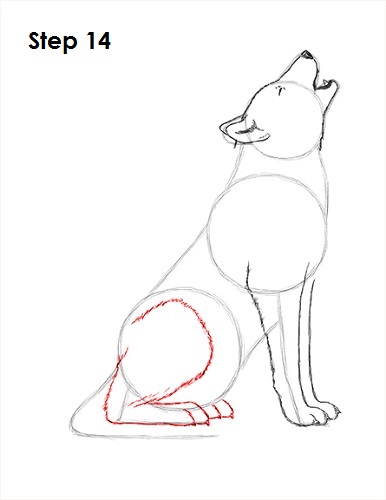 How to Draw a Wolf (Howling)