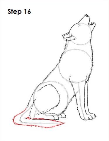 easy wolf pup drawings
