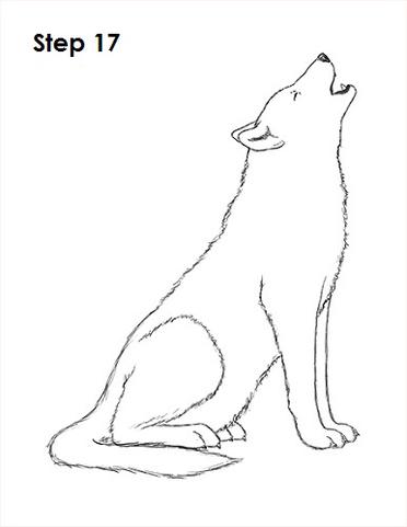 how to draw a wolf howling step by step easy