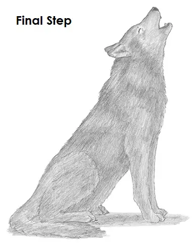 wolf howling drawing anime