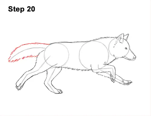 Pin by Courtney Block on drawing tipsideas  Cat tail drawing reference  Fluffy tail drawing reference Wolf tail drawing reference