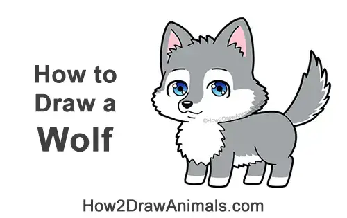 How to Draw a Wolf (Cartoon) VIDEO & Step-by-Step Pictures