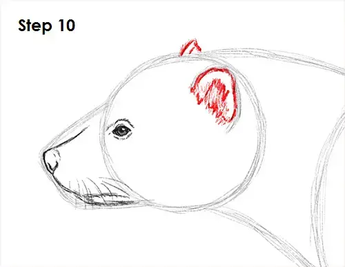 How to Draw a Wolverine