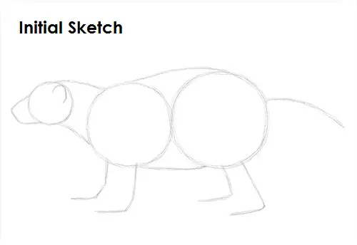 Draw Wolverine Sketch