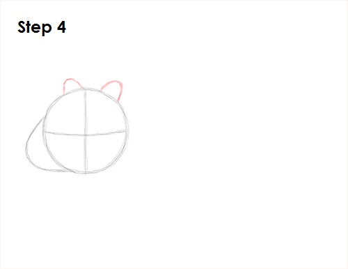 How to Draw a Wombat