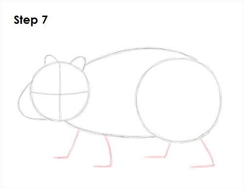 How to Draw a Wombat