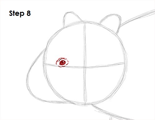 Draw Wombat 8