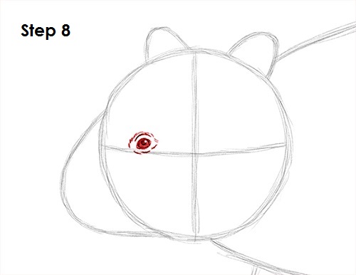 How to Draw a Wombat