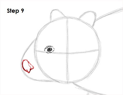 Draw Wombat 9