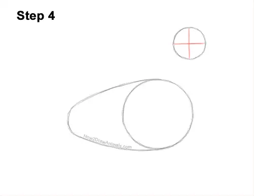 How to Draw a Wood Duck Male Drake Carolina 4