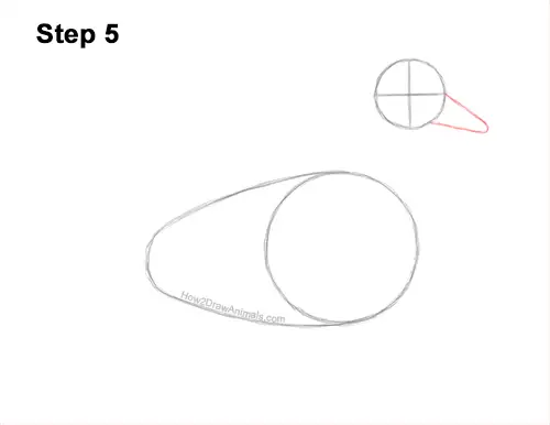 How to Draw a Wood Duck Male Drake Carolina 5