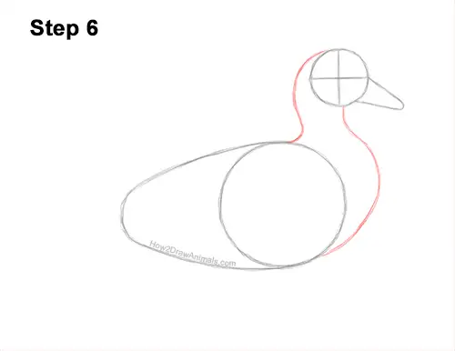 How to Draw a Wood Duck Male Drake Carolina 6