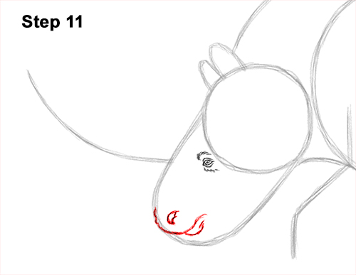 How to Draw a Woolly Rhinoceros 11