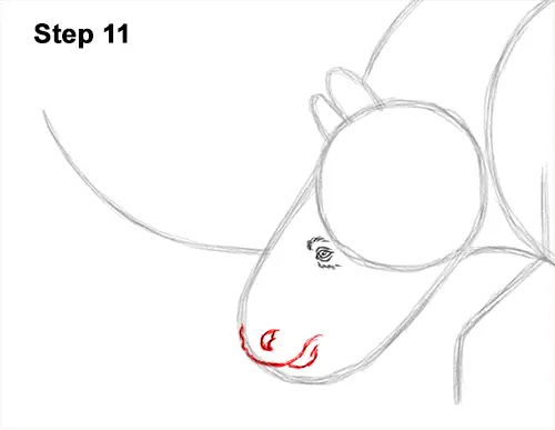 How to Draw a Woolly Rhinoceros 11